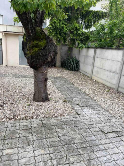 Studio Tout Confort, Au Pied De Toute Commodite, 2 Apartamento Créteil Exterior foto